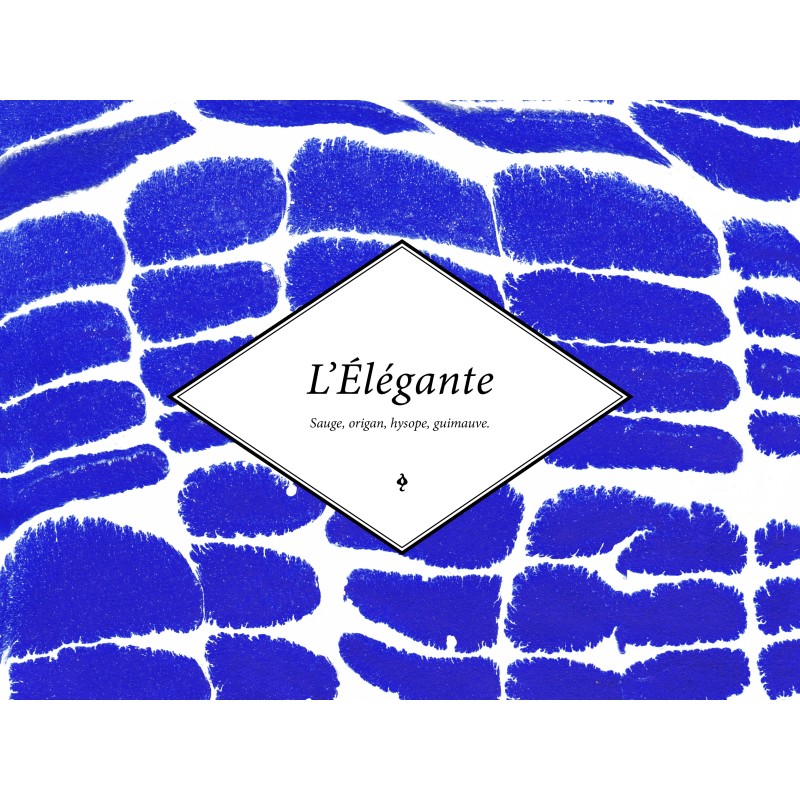 L'Elégante (Maux d'hiver)