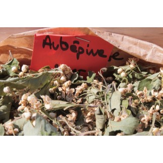 Aubépine
