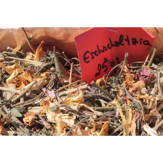 Eschscholtzia