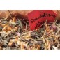 Eschscholtzia