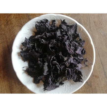 Shiso pourpre (Périlla)