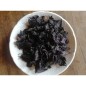 Shiso pourpre (Périlla)