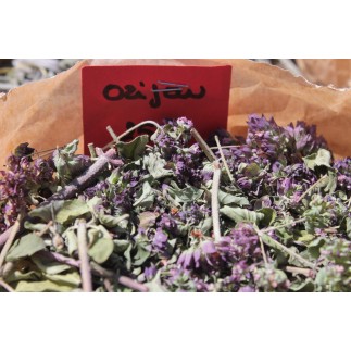 Origan
