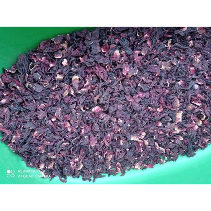 hibiscus sabdariffa