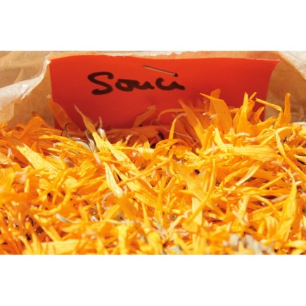 Souci