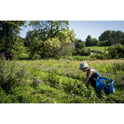 La gourmande