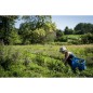 La Gourmande (Digestion/Hiver)